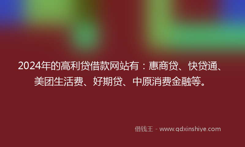 2024年的高利贷借款网站有：惠商贷、快贷通、美团生活费、好期贷、中原消费金融等。