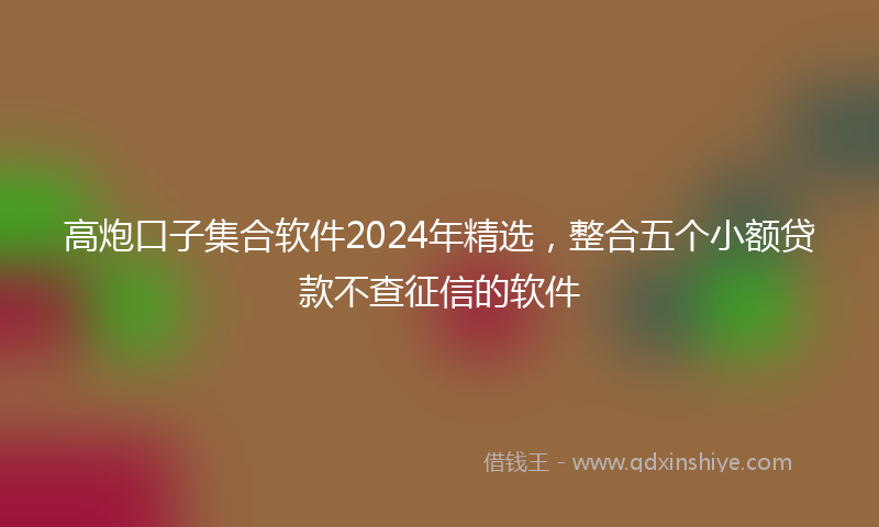 高炮口子集合软件2024年精选，整合五个小额贷款不查征信的软件