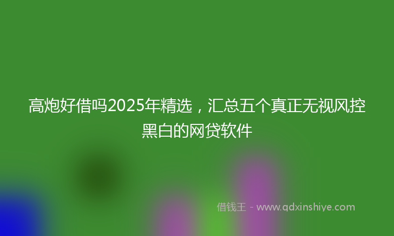 高炮好借吗2025年精选，汇总五个真正无视风控黑白的网贷软件