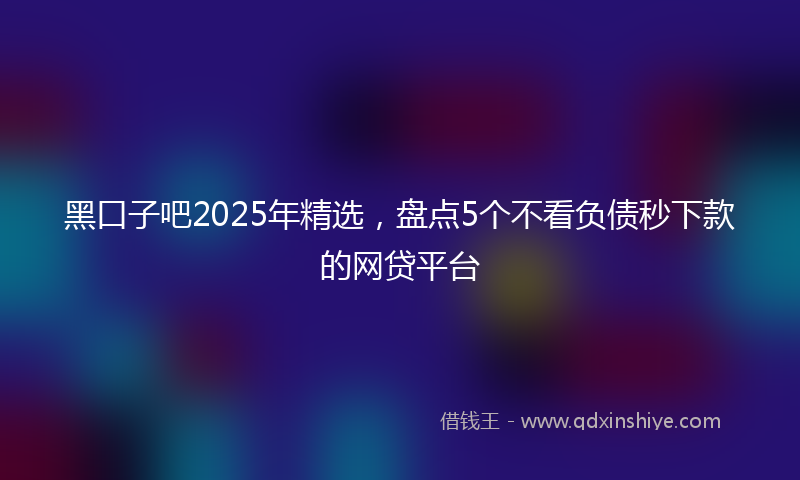 黑口子吧2025年精选，盘点5个不看负债秒下款的网贷平台