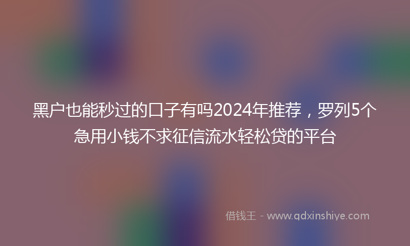 黑户也能秒过的口子有吗2024年推荐，罗列5个急用小钱不求征信流水轻松贷的平台