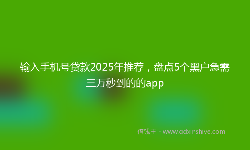 输入手机号贷款2025年推荐，盘点5个黑户急需三万秒到的的app