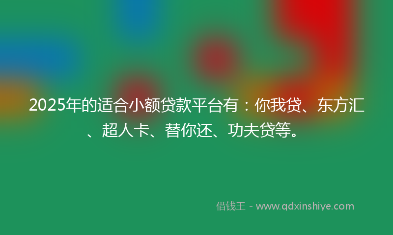 2025年的适合小额贷款平台有：你我贷、东方汇、超人卡、替你还、功夫贷等。