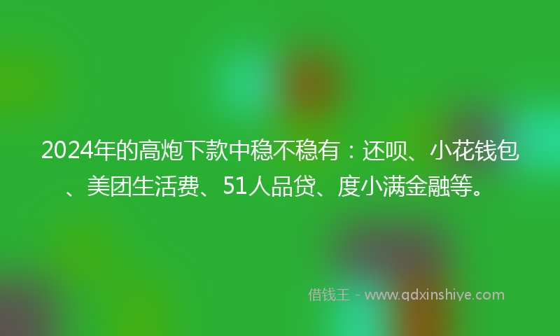 2024年的高炮下款中稳不稳有：还呗、小花钱包、美团生活费、51人品贷、度小满金融等。