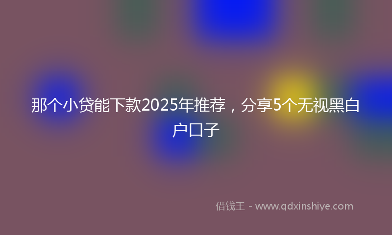 那个小贷能下款2025年推荐，分享5个无视黑白户口子