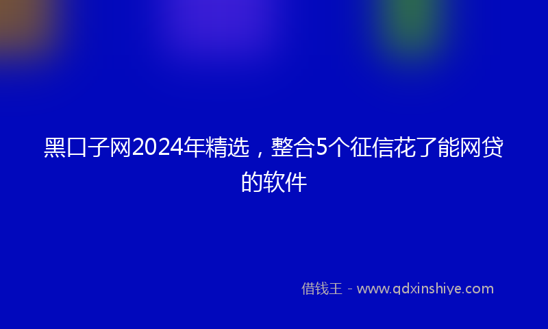 黑口子网2024年精选，整合5个征信花了能网贷的软件