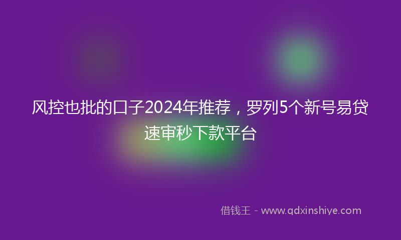 风控也批的口子2024年推荐，罗列5个新号易贷速审秒下款平台
