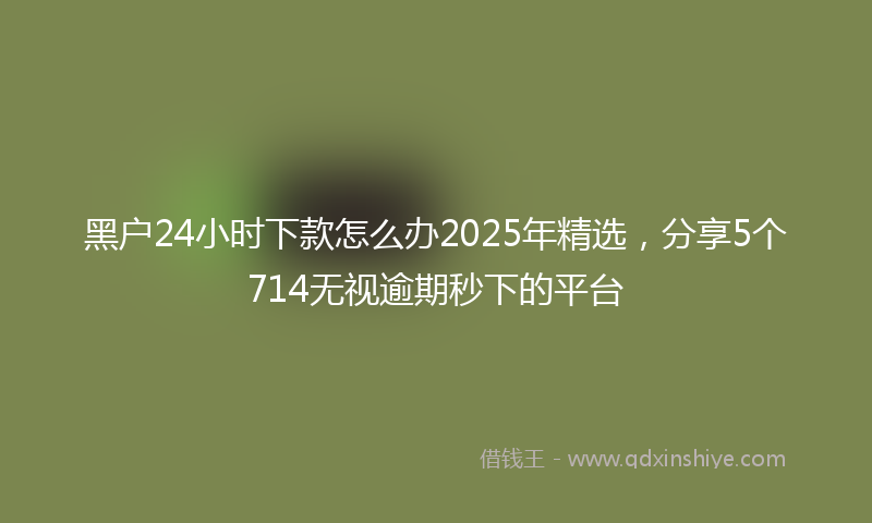 黑户24小时下款怎么办2025年精选，分享5个714无视逾期秒下的平台