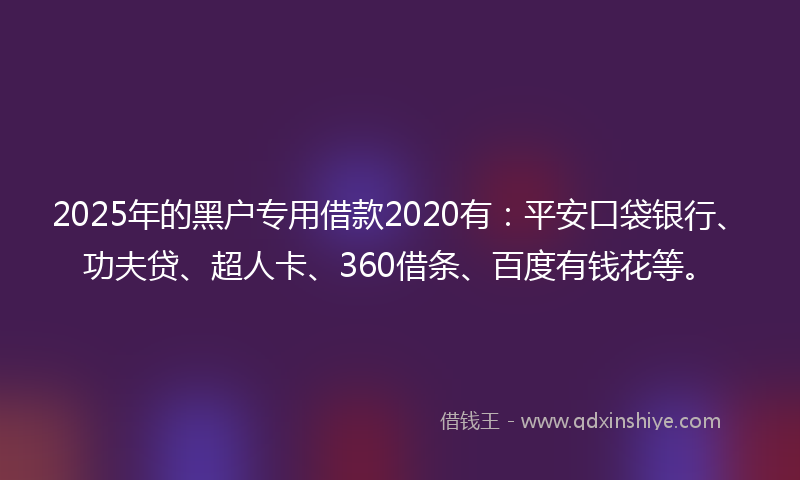2025年的黑户专用借款2020有：平安口袋银行、功夫贷、超人卡、360借条、百度有钱花等。