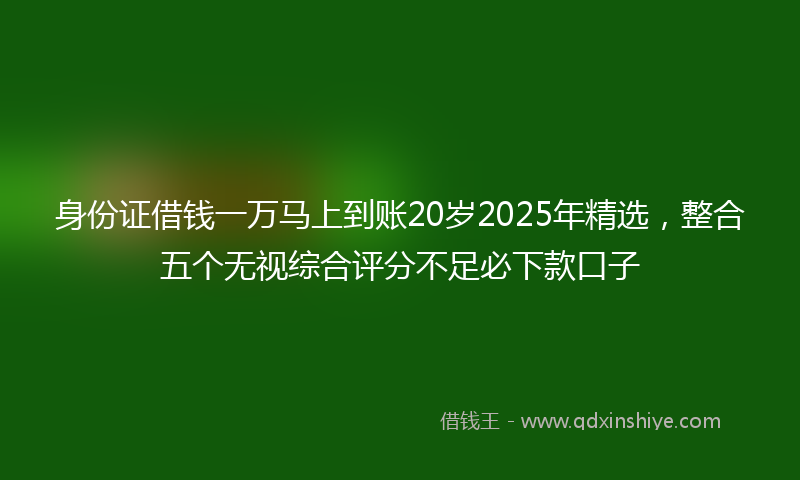 身份证借钱一万马上到账20岁2025年精选，整合五个无视综合评分不足必下款口子
