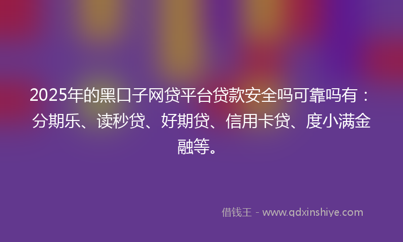 2025年的黑口子网贷平台贷款安全吗可靠吗有：分期乐、读秒贷、好期贷、信用卡贷、度小满金融等。