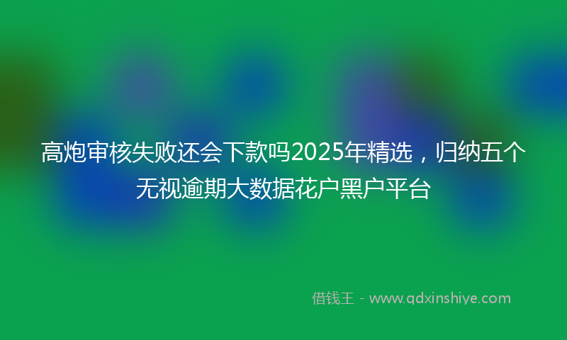 高炮审核失败还会下款吗2025年精选，归纳五个无视逾期大数据花户黑户平台