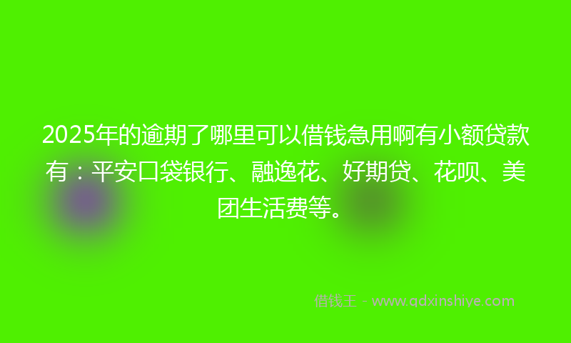 2025年的逾期了哪里可以借钱急用啊有小额贷款有：平安口袋银行、融逸花、好期贷、花呗、美团生活费等。