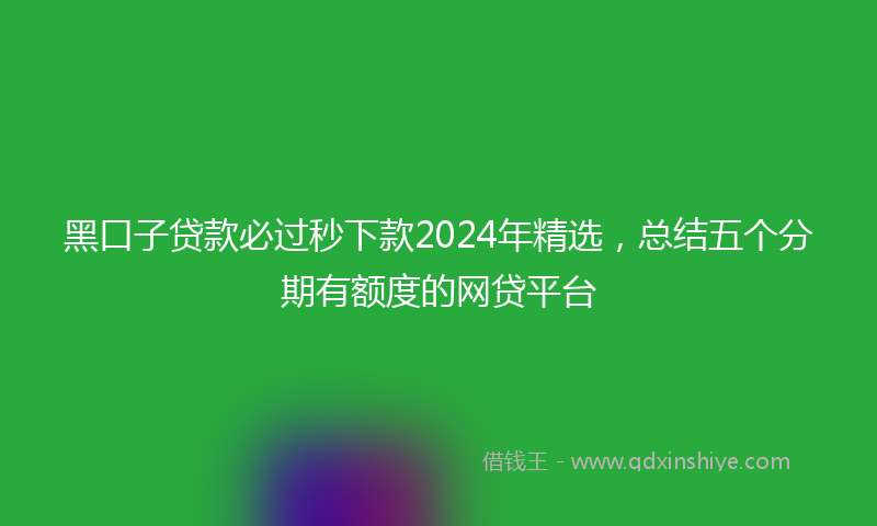 黑口子贷款必过秒下款2024年精选，总结五个分期有额度的网贷平台