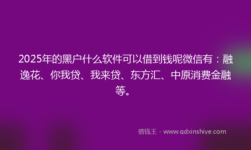 2025年的黑户什么软件可以借到钱呢微信有：融逸花、你我贷、我来贷、东方汇、中原消费金融等。