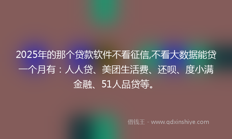 2025年的那个贷款软件不看征信,不看大数据能贷一个月有：人人贷、美团生活费、还呗、度小满金融、51人品贷等。
