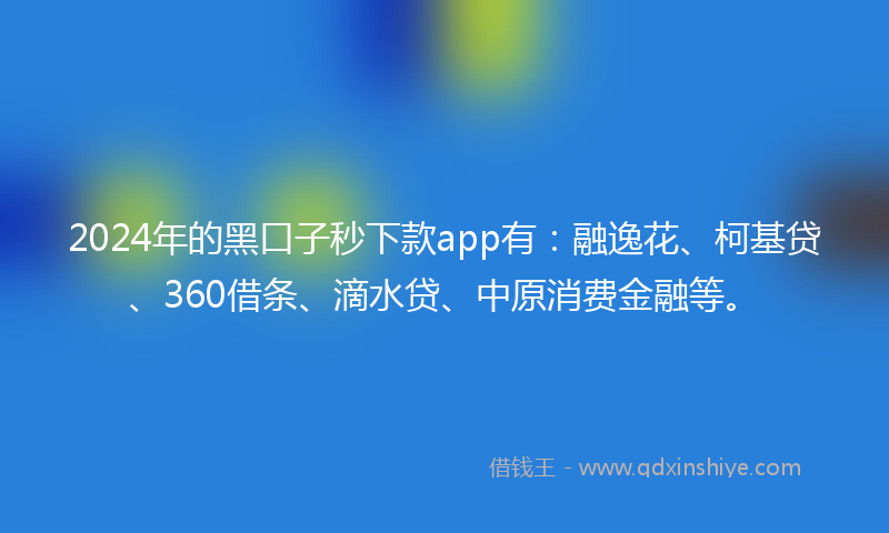 2024年的黑口子秒下款app有：融逸花、柯基贷、360借条、滴水贷、中原消费金融等。