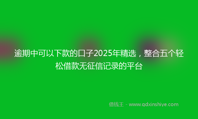 逾期中可以下款的口子2025年精选，整合五个轻松借款无征信记录的平台