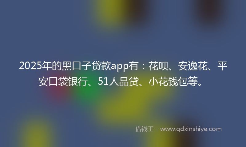 2025年的黑口子贷款app有：花呗、安逸花、平安口袋银行、51人品贷、小花钱包等。