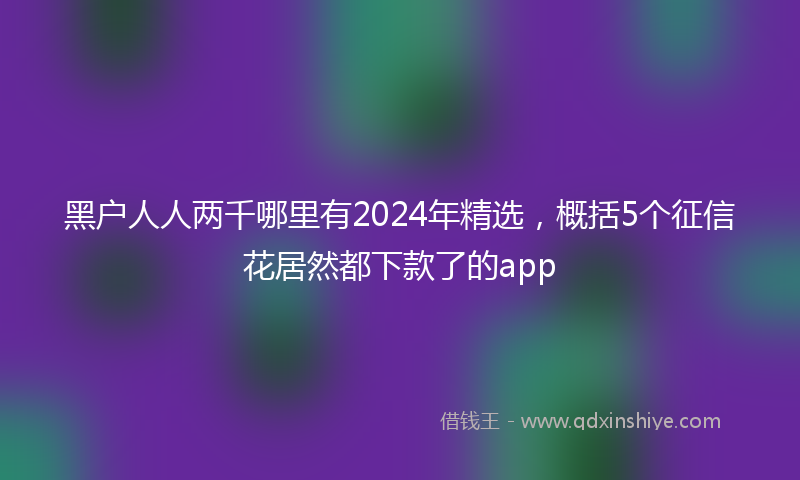 黑户人人两千哪里有2024年精选，概括5个征信花居然都下款了的app