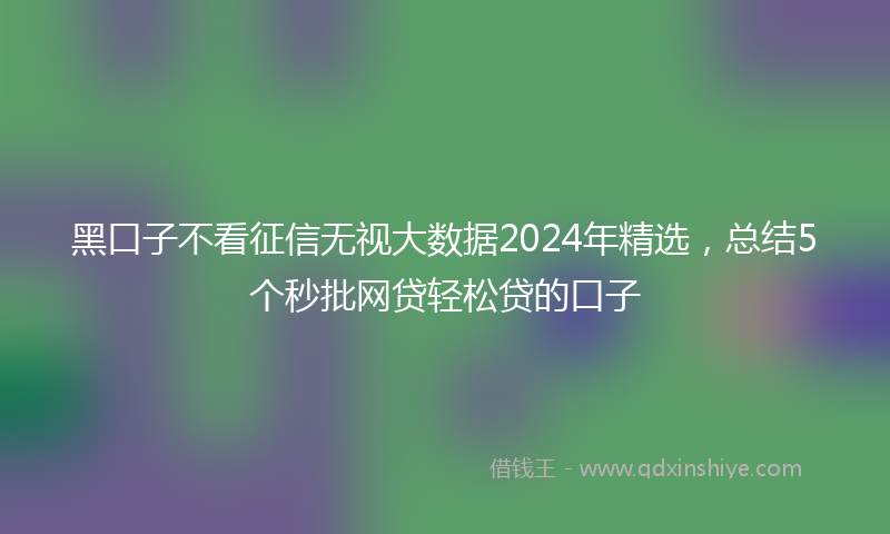 黑口子不看征信无视大数据2024年精选，总结5个秒批网贷轻松贷的口子