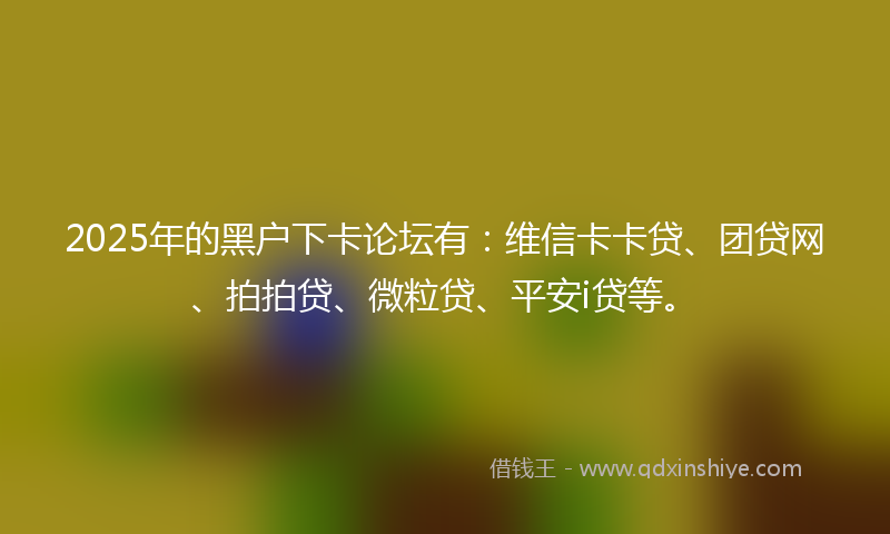 2025年的黑户下卡论坛有：维信卡卡贷、团贷网、拍拍贷、微粒贷、平安i贷等。