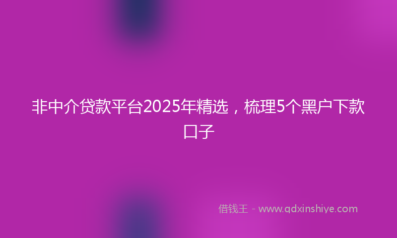 非中介贷款平台2025年精选，梳理5个黑户下款口子