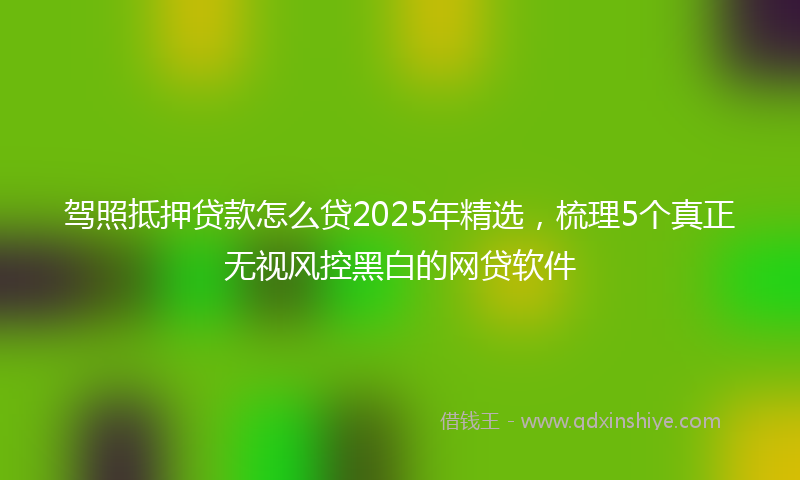 驾照抵押贷款怎么贷2025年精选，梳理5个真正无视风控黑白的网贷软件