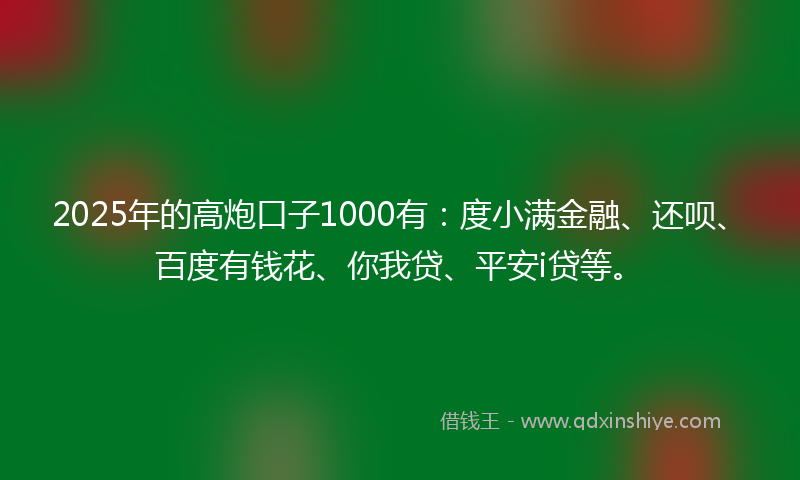2025年的高炮口子1000有：度小满金融、还呗、百度有钱花、你我贷、平安i贷等。