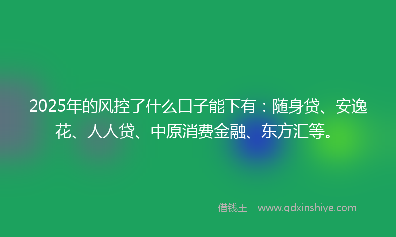 2025年的风控了什么口子能下有：随身贷、安逸花、人人贷、中原消费金融、东方汇等。