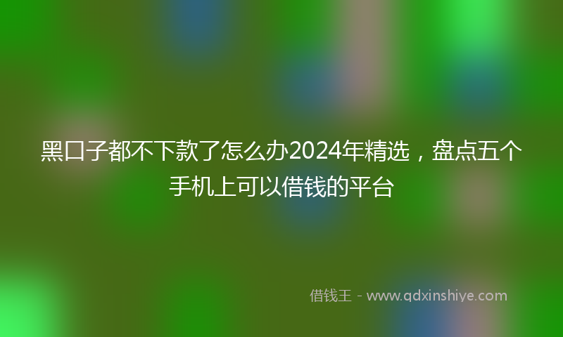 黑口子都不下款了怎么办2024年精选，盘点五个手机上可以借钱的平台