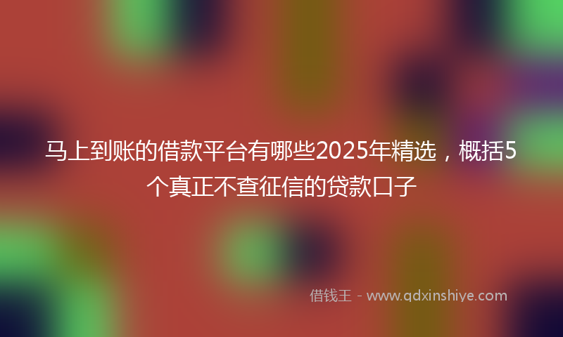 马上到账的借款平台有哪些2025年精选，概括5个真正不查征信的贷款口子