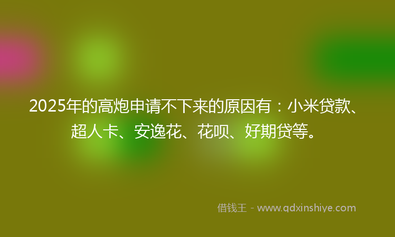 2025年的高炮申请不下来的原因有：小米贷款、超人卡、安逸花、花呗、好期贷等。