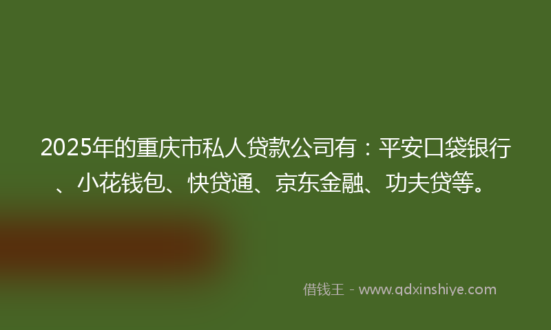 2025年的重庆市私人贷款公司有：平安口袋银行、小花钱包、快贷通、京东金融、功夫贷等。