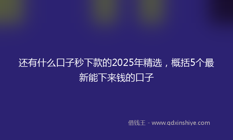 还有什么口子秒下款的2025年精选，概括5个最新能下来钱的口子