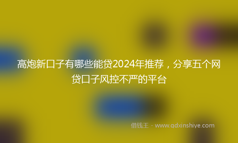 高炮新口子有哪些能贷2024年推荐，分享五个网贷口子风控不严的平台