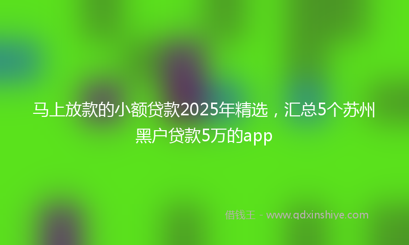 马上放款的小额贷款2025年精选，汇总5个苏州黑户贷款5万的app