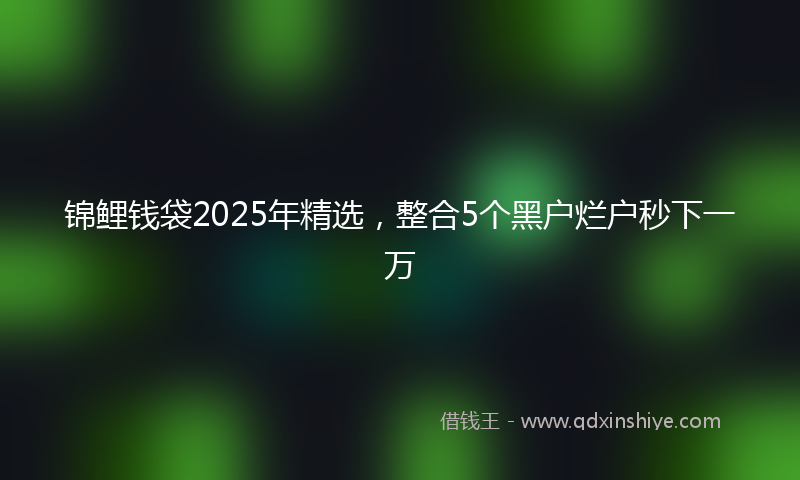 锦鲤钱袋2025年精选，整合5个黑户烂户秒下一万