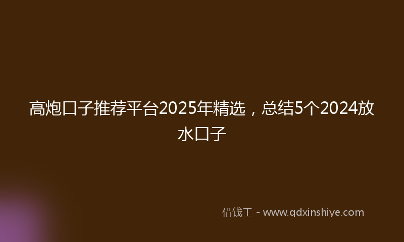 高炮口子推荐平台2025年精选，总结5个2024放水口子