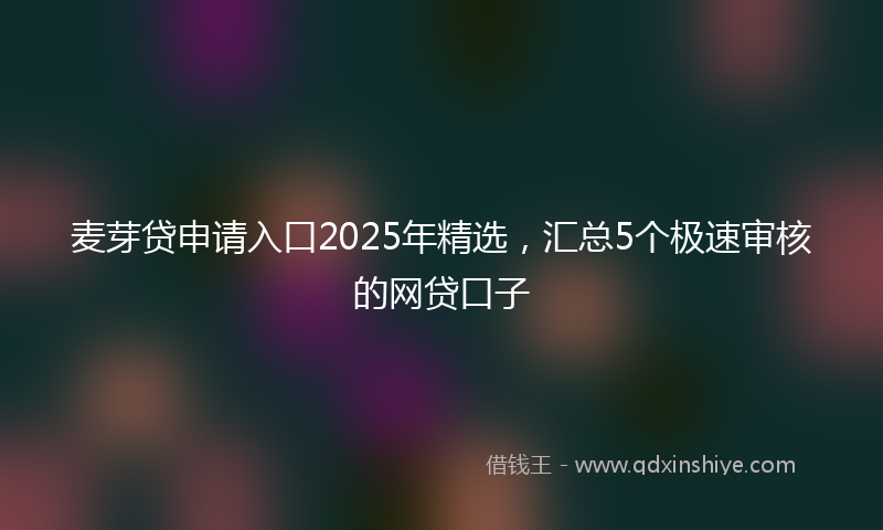麦芽贷申请入口2025年精选，汇总5个极速审核的网贷口子
