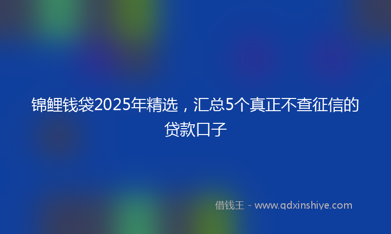 锦鲤钱袋2025年精选，汇总5个真正不查征信的贷款口子