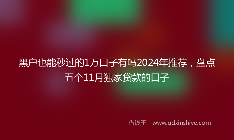 黑户也能秒过的1万口子有吗2024年推荐，盘点五个11月独家贷款的口子