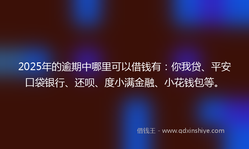 2025年的逾期中哪里可以借钱有：你我贷、平安口袋银行、还呗、度小满金融、小花钱包等。