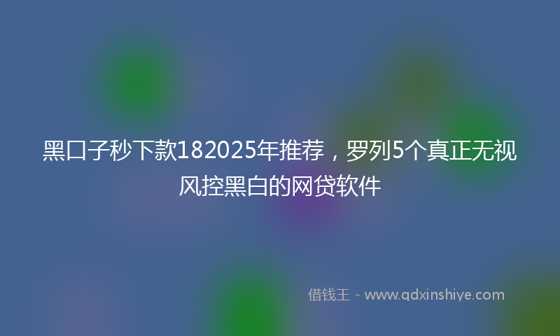 黑口子秒下款182025年推荐，罗列5个真正无视风控黑白的网贷软件