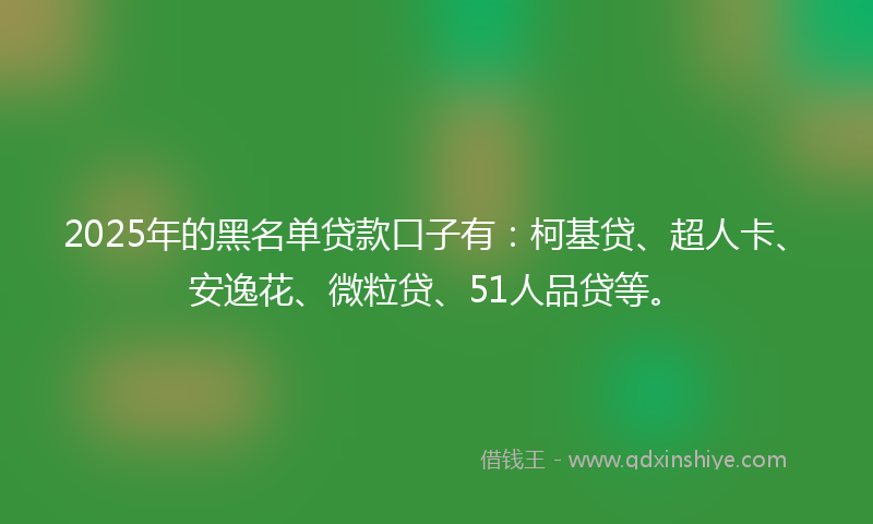 2025年的黑名单贷款口子有：柯基贷、超人卡、安逸花、微粒贷、51人品贷等。