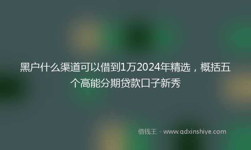 黑户什么渠道可以借到1万2024年精选，概括五个高能分期贷款口子新秀