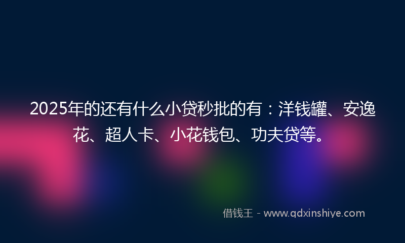 2025年的还有什么小贷秒批的有：洋钱罐、安逸花、超人卡、小花钱包、功夫贷等。
