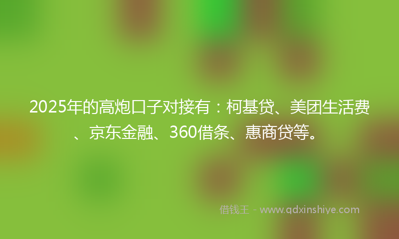 2025年的高炮口子对接有：柯基贷、美团生活费、京东金融、360借条、惠商贷等。