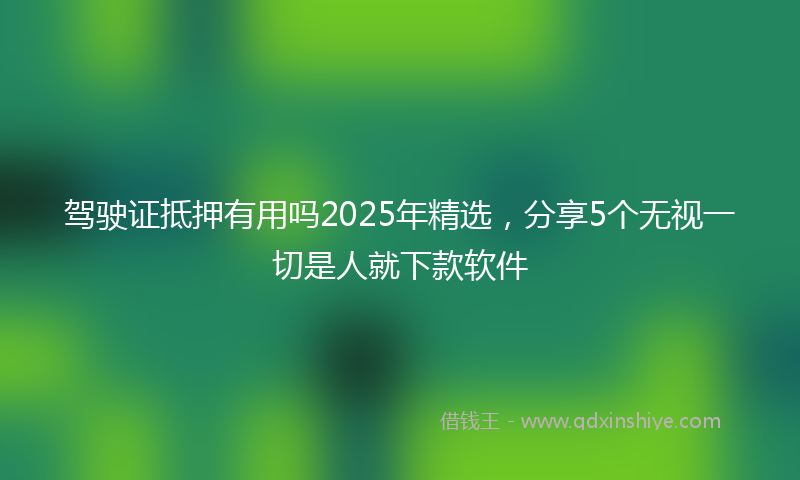 驾驶证抵押有用吗2025年精选，分享5个无视一切是人就下款软件