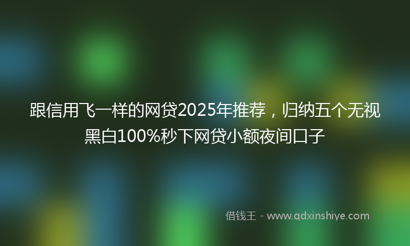 跟信用飞一样的网贷2025年推荐，归纳五个无视黑白100%秒下网贷小额夜间口子